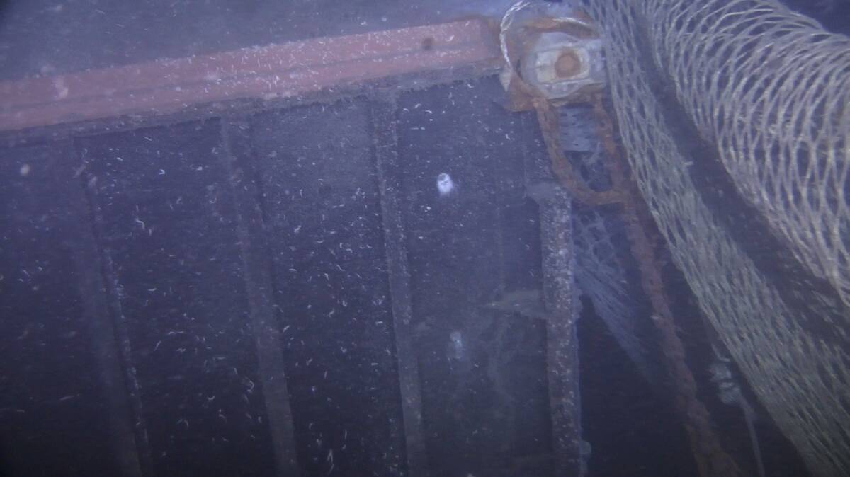 SNAGGED: A trawling net caught on a sunken container. Picture: AMSA