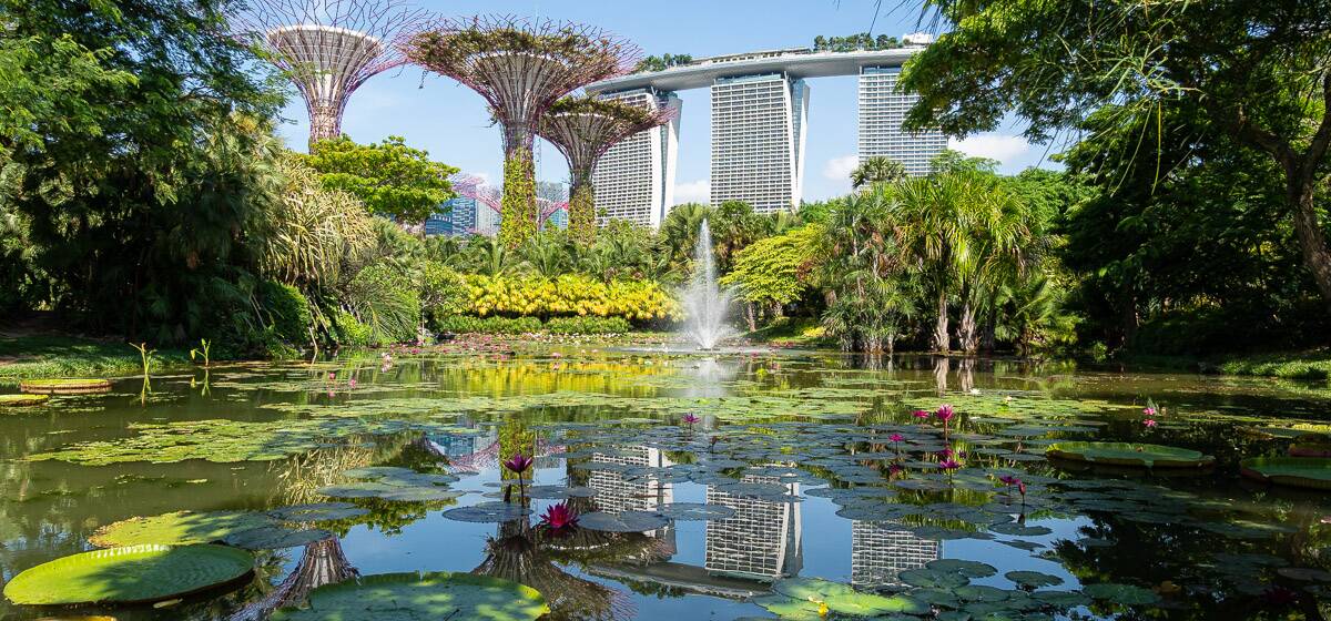 ATTRACTION: The Gardens by the Bay nature park in Singapore was the inspiration behind one person's call for "iconic" buildings and structures with green space. 