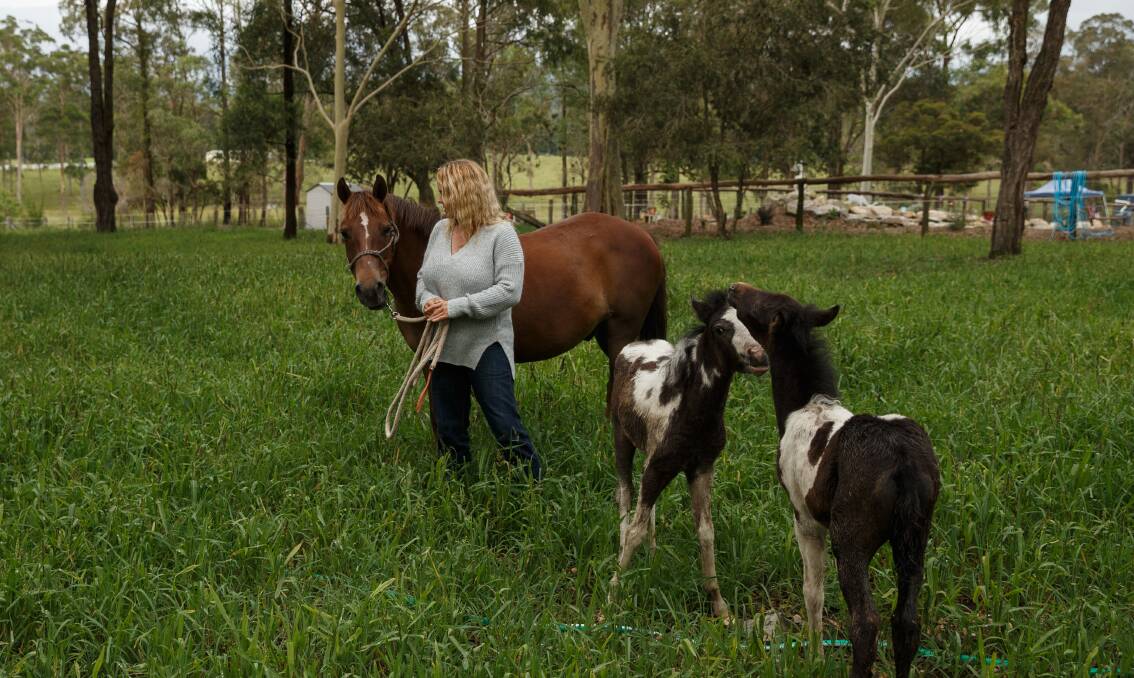 DISTRAUGHT: Hunter Valley Brumby Assocation president Kath Massey with two foals rescued from the Singleton Army Base. Picture: Max Mason-Hubers