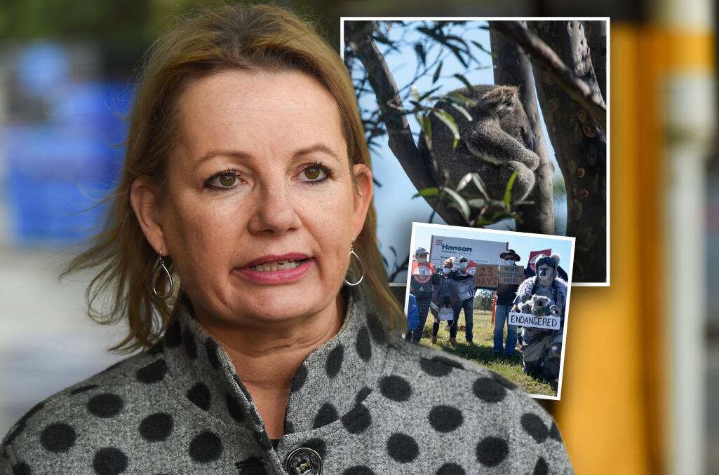 Federal Environment Minister Sussan Ley announced the approval of the controversial quarry expansion on Tuesday. Inset: A koala on a property near the Brandy Hill quarry. Picture: Marina Neil (above), Save Port Stephens Koalas stage a protest in opposition to the quarry expansion (below).