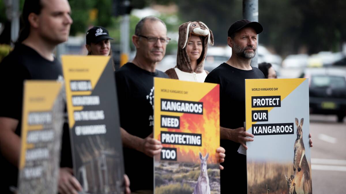 Newcastle animal rights campaigners protest Kangaroo "slaughter" on first World Kangaroo Day