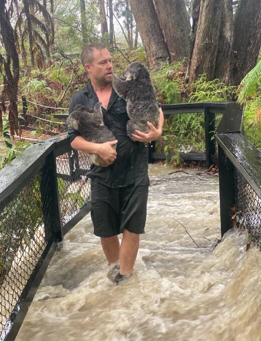 RESCUE: Staff and keepers acted quickly to relocate animals in the downpour.