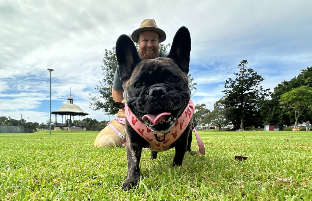 Maitland man Ashley Elphick with one of his two French Bulldogs, Winnie. Picture by Simon McCarthy