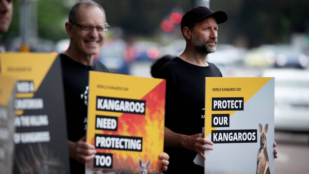 Newcastle animal rights campaigners protest Kangaroo "slaughter" on first World Kangaroo Day