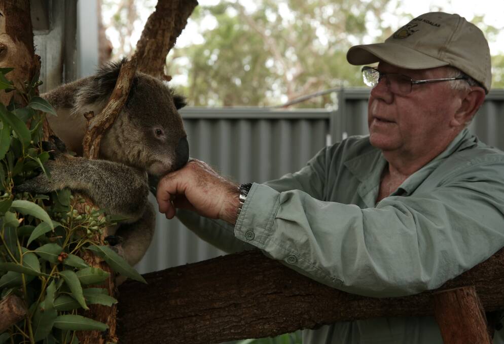 Ron Land's journey from the coalface to the battleground in fighting for the survival of koalas