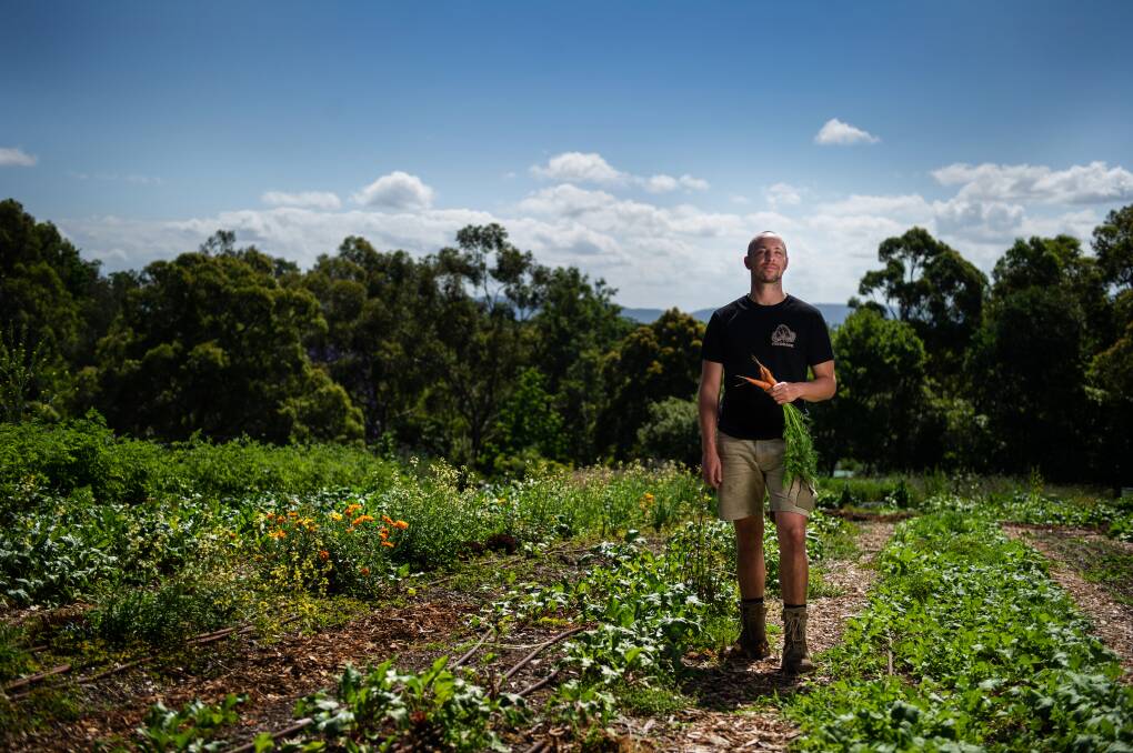The urban farm in the middle of the suburbs that stopped one million litres of food waste going to landfill