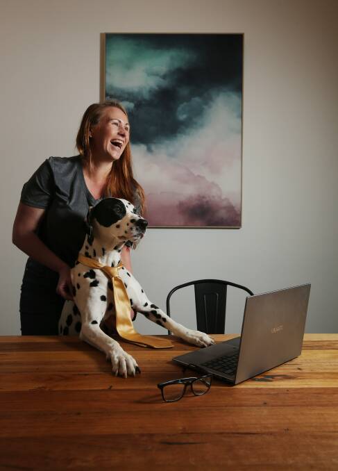 Top dog, Charles the Dalmatian, is a finalist in the nation's third annual search for the best working boys putting in that 9-to-5 grind, pictured here with his owner Melissa Evans. Picture by Simone De Peak