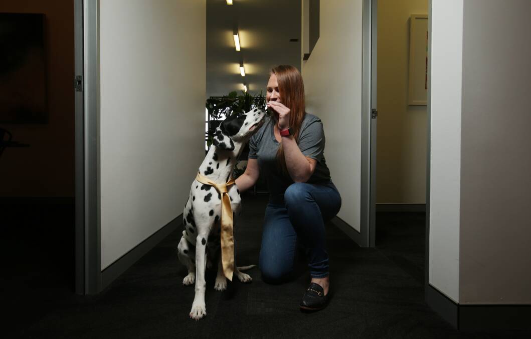 Charles works with his owner, Melissa Evans, at Hamilton recruitment firm Verve Partners.