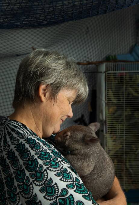 11: Judith Hopper has a property filled with native animals, as she is a carer and "wildlife creche" operator. Picture: Marina Neil
