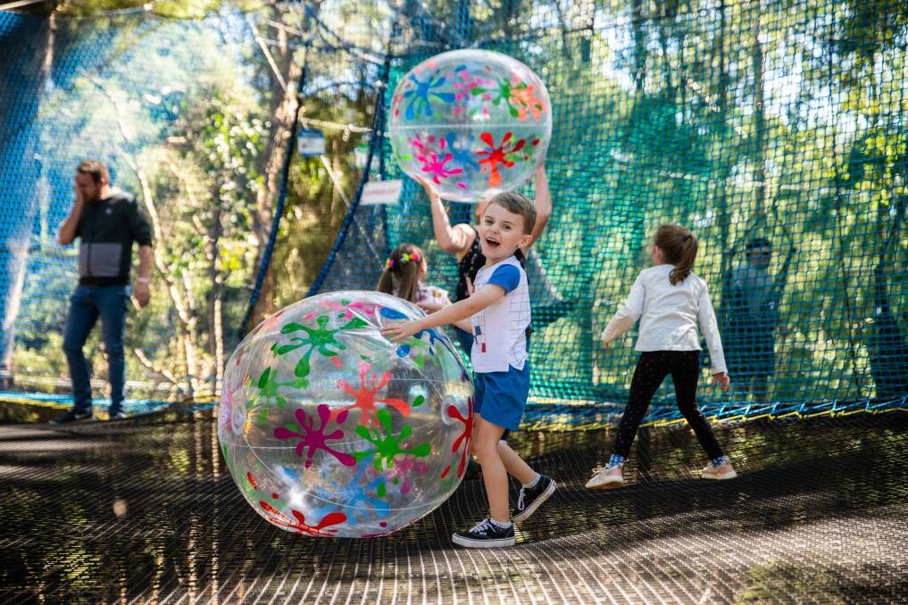 Win a family pass to TreeTops NetWorld in the Ourimbah State Forest