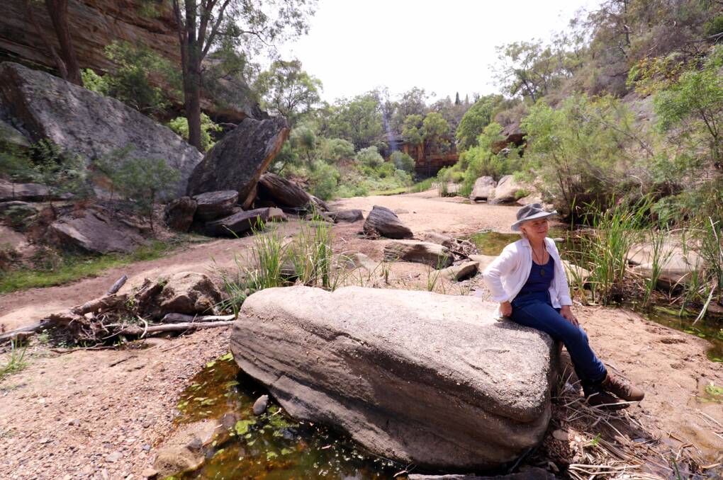 Warning: Dr Julia Imrie has warned that modelling used to approve huge coal mines near the Goulburn River has significantly underestimated groundwater impacts. Picture: Cathy Toby.