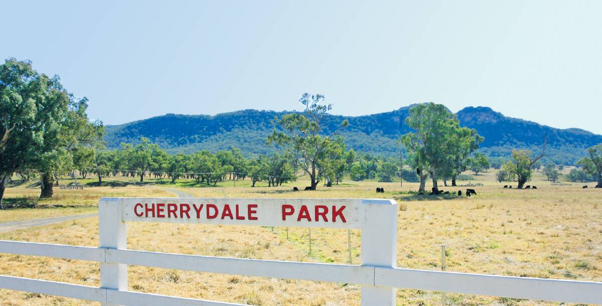 Property: The boundaries of Cherrydale Park showing Mt Penny in the background. The Obeid family company Locaway has objected to the KEPCO coal mine project. 