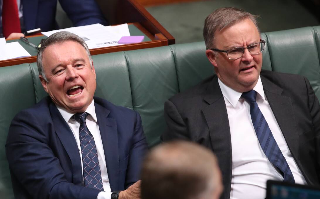 Satisfied: Hunter MP Joel Fitzgibbon (left) in federal parliament with Anthony Albanese. Mr Fitzgibbon will back Mr Albanese's leadership bid after the withdrawal of Chris Bowen.