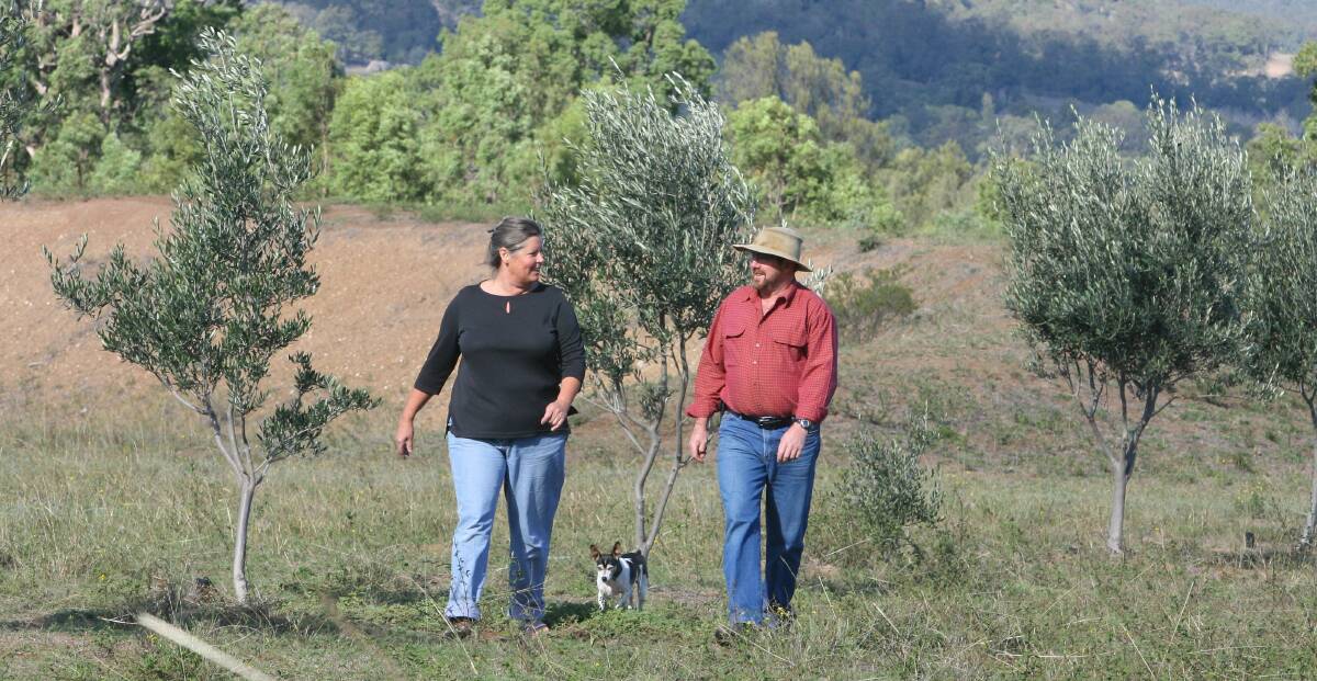 Criticism: Former Muswellbrook Shire councillor Christine Phelps and husband Ray at their former Wybong property. Ms Phelps strongly criticised the state's mining management system after a $5 million community fund under a mining exploration licence approval remained secret for more than four years. Picture: Brendan Esposito.