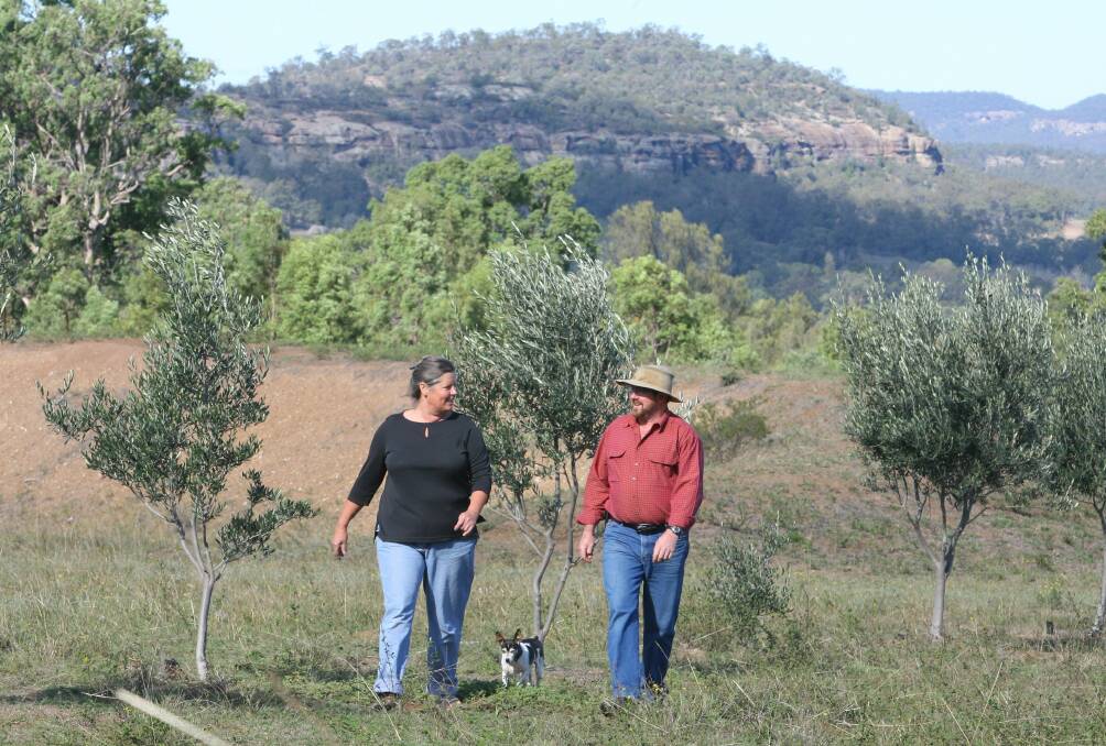 Exposed: Former Muswellbrook councillor Christine Phelps and husband Ray walk on their former Wybong property. The community had a right to be angered by the NSW Government's handling of mining titles and licences, Ms Phelps said.