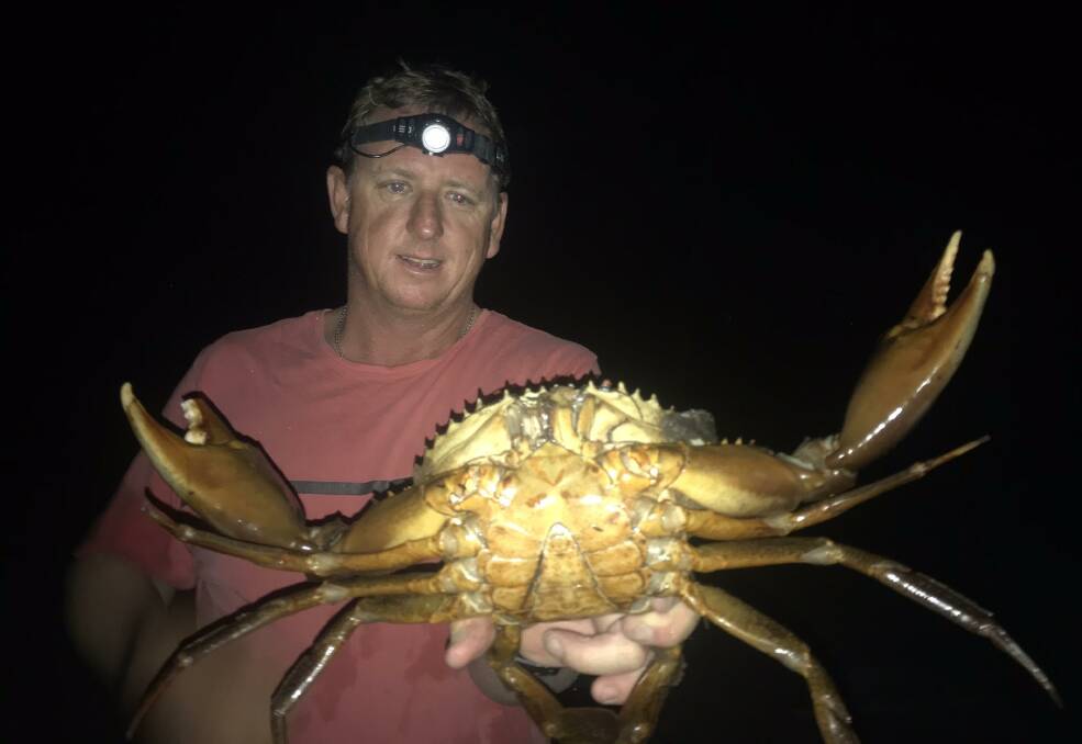 Catch: Jamie Miller's photo of mate Roger Macaulay and a mud crab caught in the north of Lake Macquarie in recent weeks. A new report has raised serious questions about crab meat consumption.
