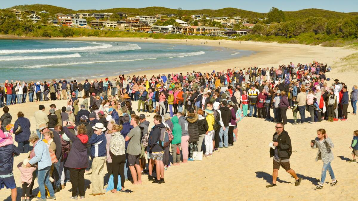 People on Fingal Beach for the 2019 human whale formation. Picture by Bonita Holmes-Nuu.