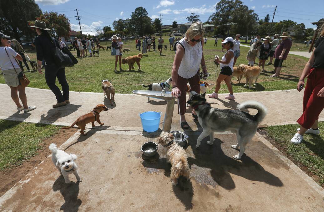 DOG CITY: Pooches at the opening of Newcastle's first enclosed dog park in North Lambton on Sunday. Picture: Marina Neil
