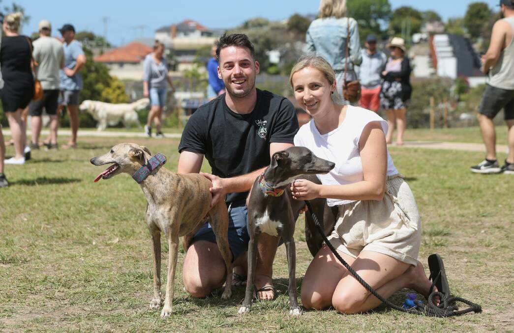 QUICK: Whippets Lola and Poppy with owners Joshua Bruce and Sarah Hanna. Picture: Marina Neil