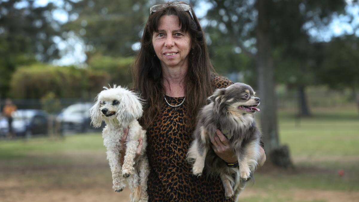 FREE TO BE: Gizmo and Buddy with owner Julie Hall of Glendale. Picture: Marina Neil