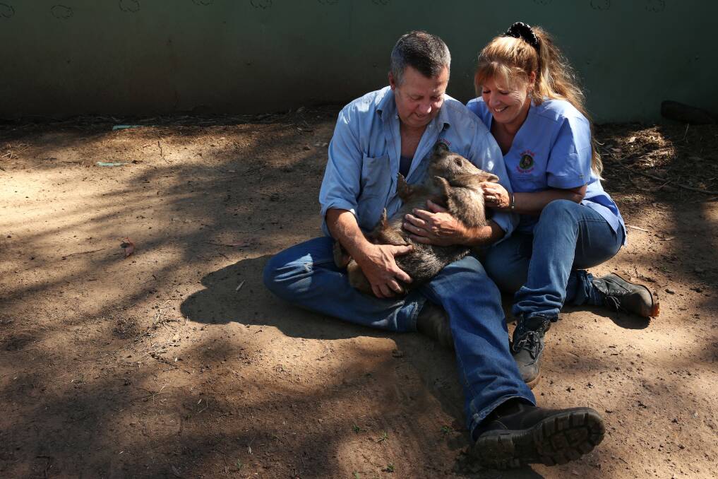 TO THE RESCUE: Roz and Kevin Holme treat wombats for mange. Picture: Simone De Peak 