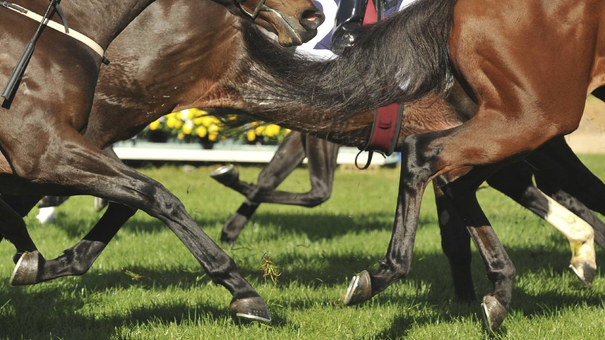 NSW Primary Industries confirms Hendra virus case in a Hunter horse