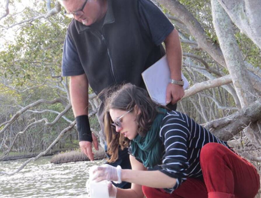 GREEN: Jo Lynch sampling water at Lake Macquarie. Picture: Hunter Community Environment Centre