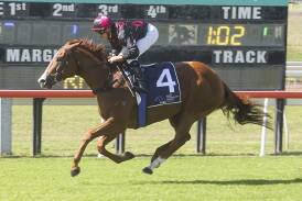 Once Again My Girl is tipped to win Race 7, the Turfcare Australia Handicap over 1000 metres. Picture Bradley Photos