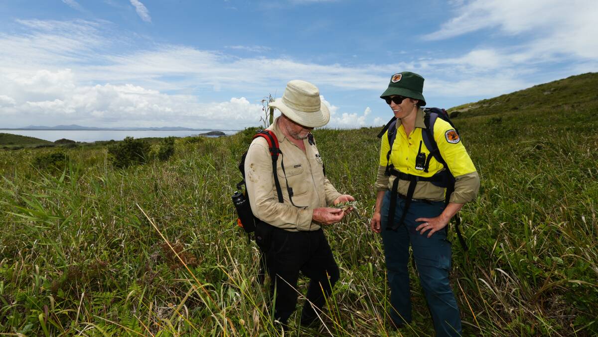 Vegetation expert Paul O'Keefe and Susanne Callaghan on Broughton Island. Picture: Jonathan Carroll