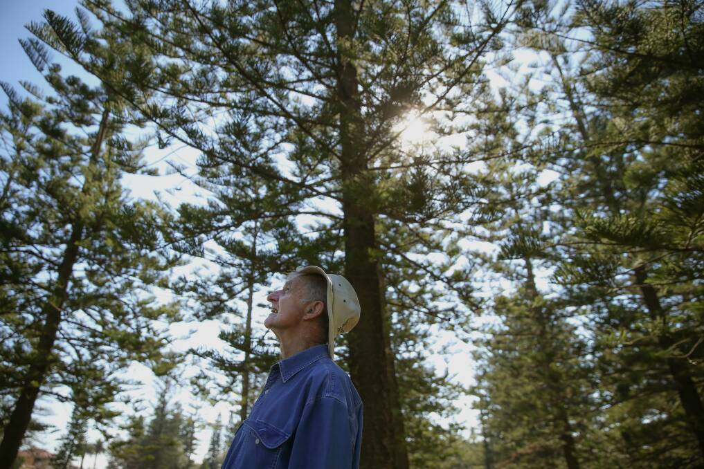John Le Messurier amid the Norfolk Island pines at King Edward Park. Picture: Marina Neil