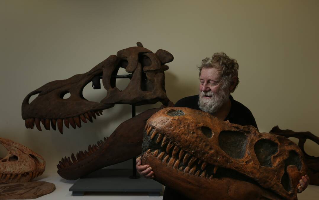 COLLECTOR: Mike Dawson with some of the dinosaur pieces he has on display in the "Tyrannosaurs: Ultimate Predators" exhibition at the Swansea Centre. Pictures: Simone De Peak
