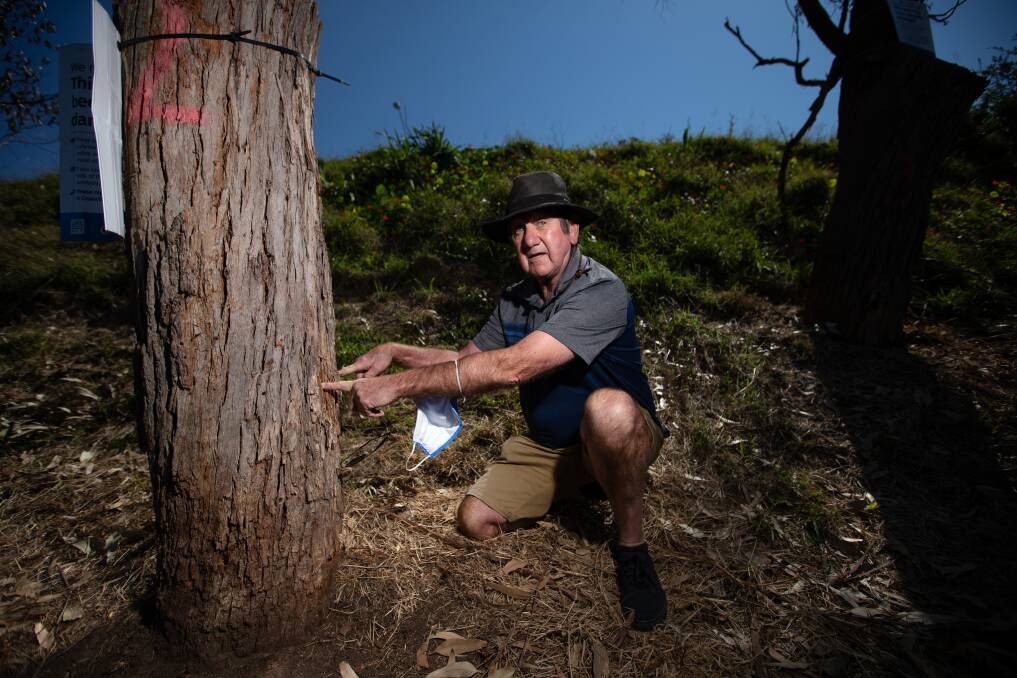 SIGNS OF VANDALISM: Lake resident John Lloyd points to a hole drilled into one of the poisoned trees along the Warners Bay-Speers Point pathway. 