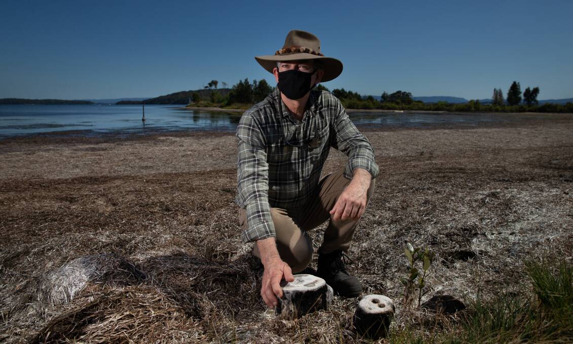 Lake Macquarie City Council's Natural Assets Coordinator Graham Prichard shows the stumps of mangroves removed from the Swansea shoreline. Picture: Marina Neil