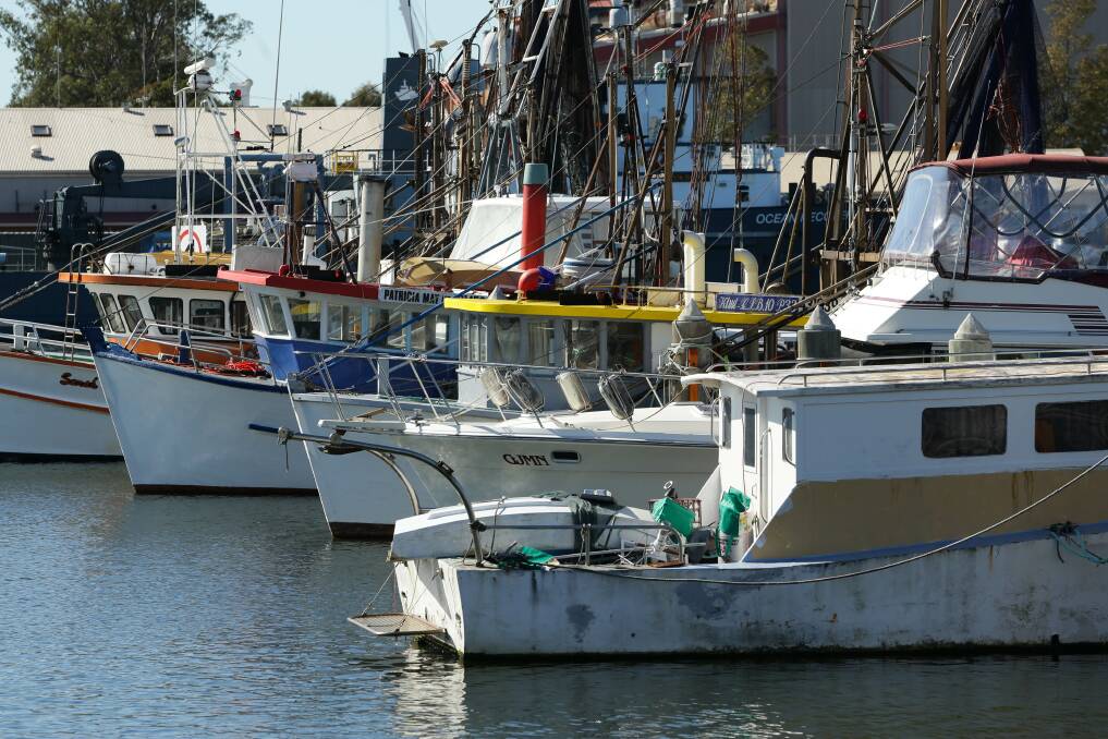 Trawlers at the Commercial Fishermen's Co-operative wharf at Wickham. Picture: Jonathan Carroll