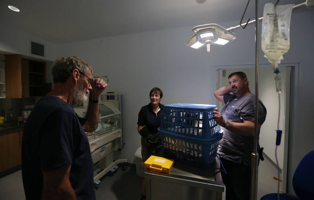 Long-time volunteer rescuer Doug Wheen talks with Heather Forbes and Dr Donald Hudson about the patient he has just brought in, Toohey. Picture: Simone De Peak