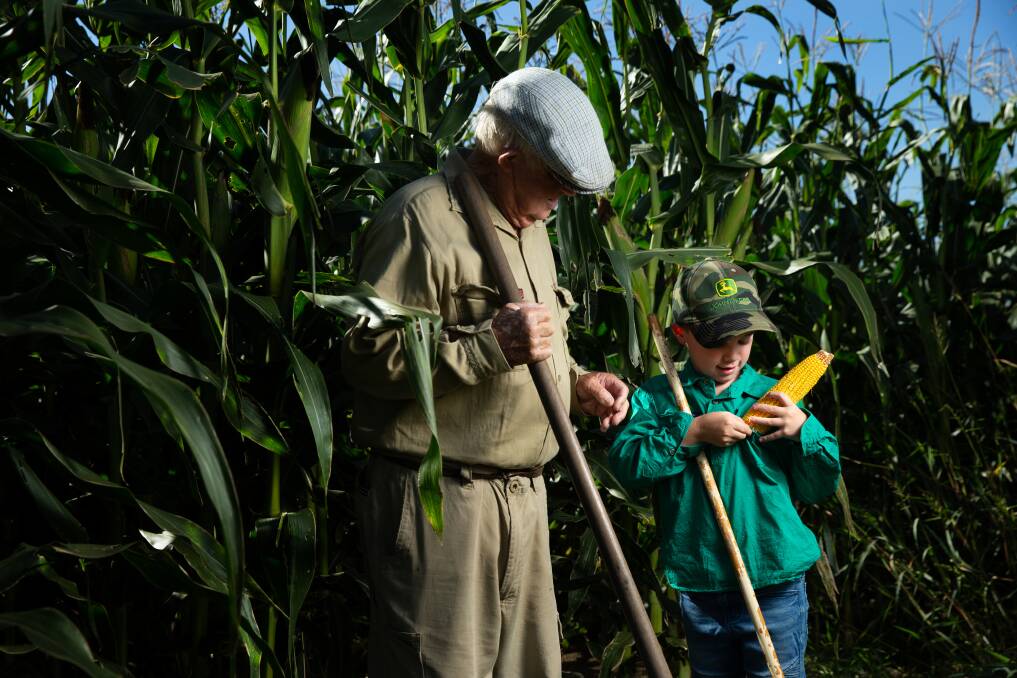 Osborn farming patriarch Dal Osborn with his seven-year-old great grandson Dallas, as they inspect the crop. Picture: Marina Neil 