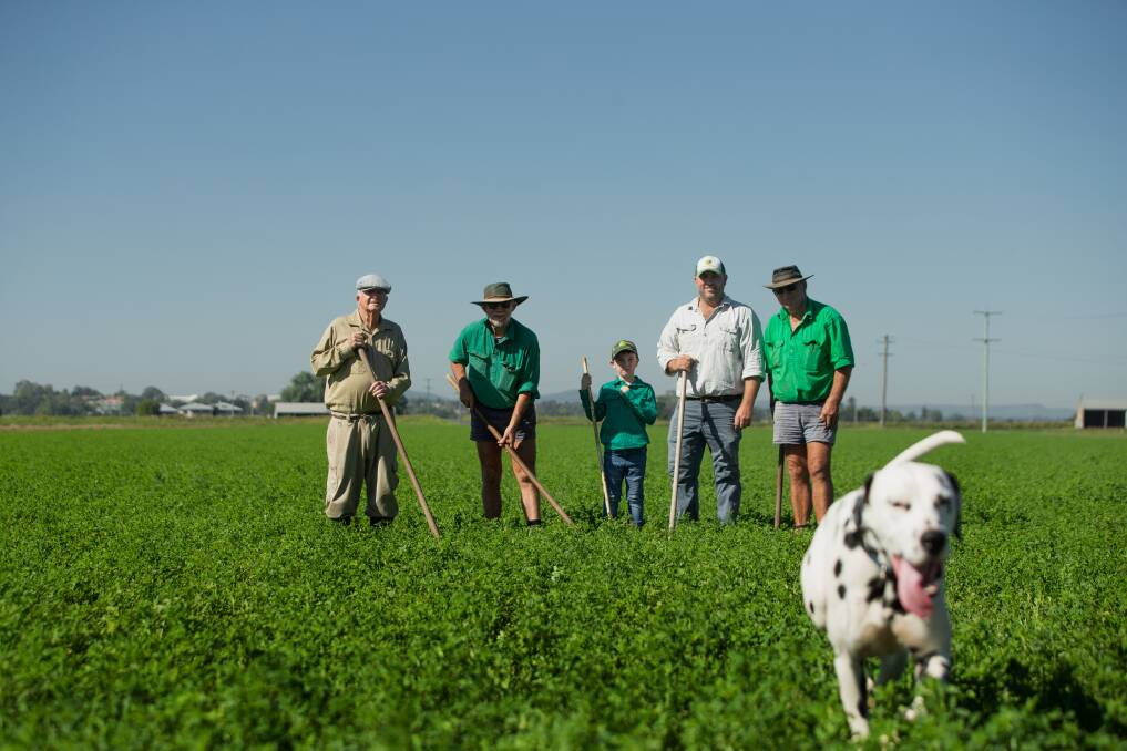 Four generations of the Osborn family amid their crops. Picture: Marina Neil
