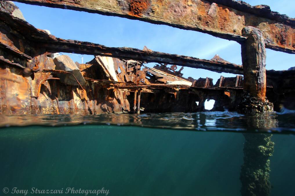 A water-level view of the wreck of the 'Adolphe'. Picture by Tony Strazzari, Grey Nurse Charters