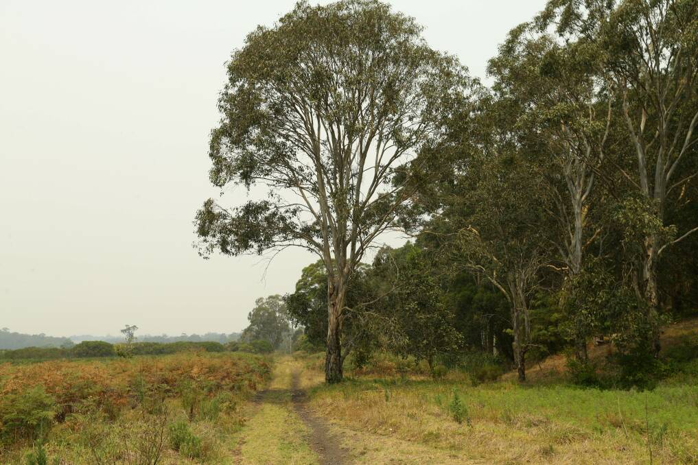 A view from the proposed rail trail at Fletcher, near Hunter Wetlands National Park. Picture: Jonathan Carroll