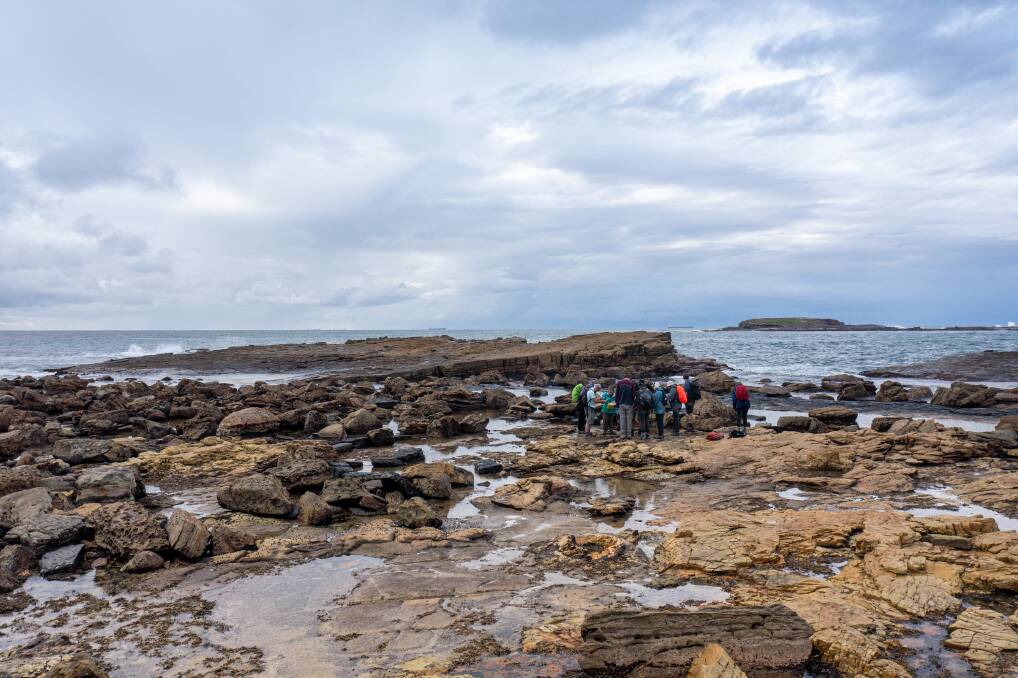 Searching for the fossilised forest at Swansea Heads. Picture: Neil Keene, Lake Macquarie City Council