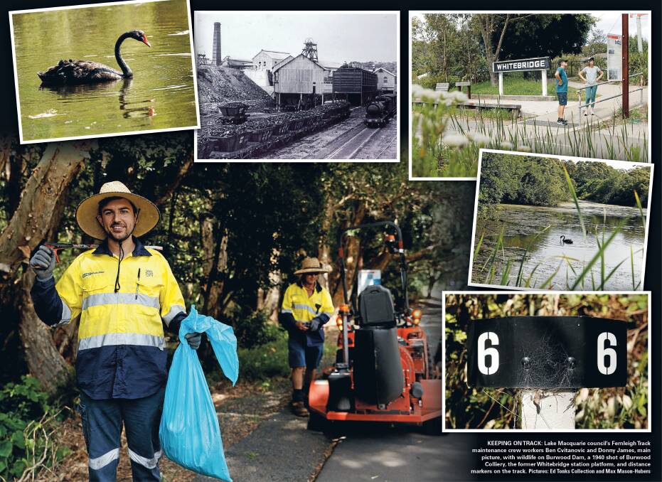 On the Fernleigh Track, Part V: The tireless caretakers of the Hunter's recreational icon