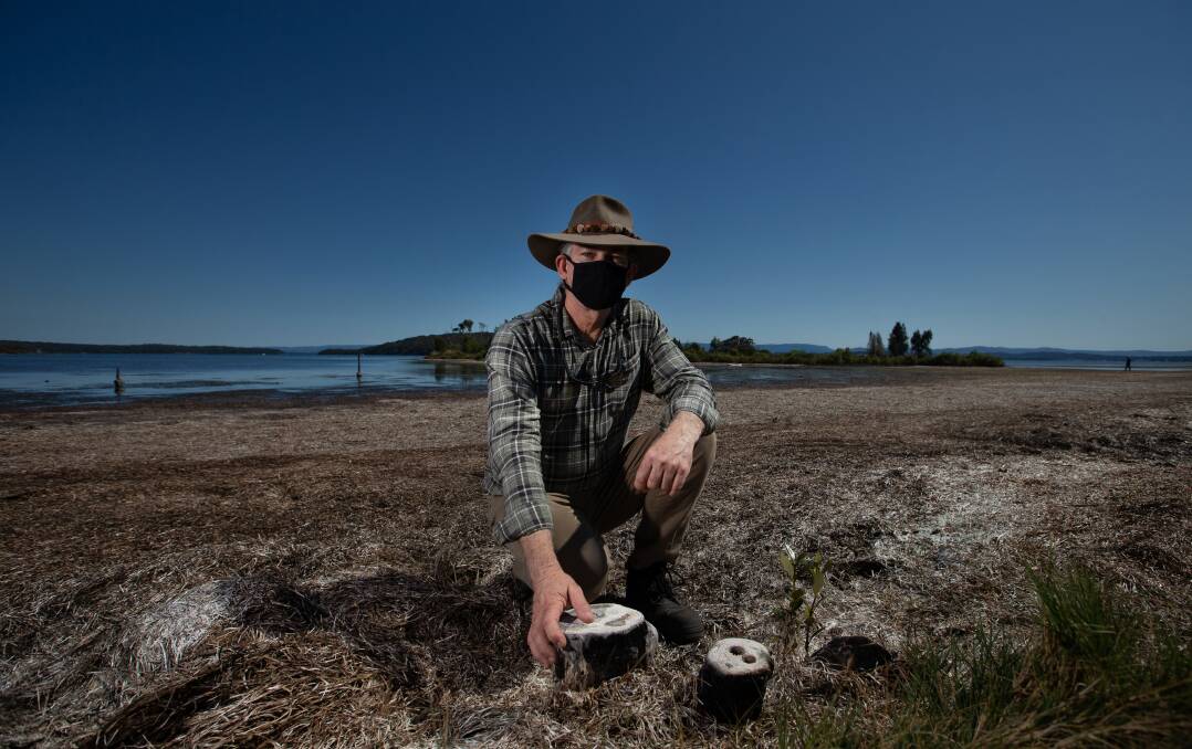 DAMAGE: Lake Macquarie City Council's Natural Assets Coordinator Graham Prichard shows the stumps of mangroves removed from the Swansea shoreline. Pictures: Marina Neil