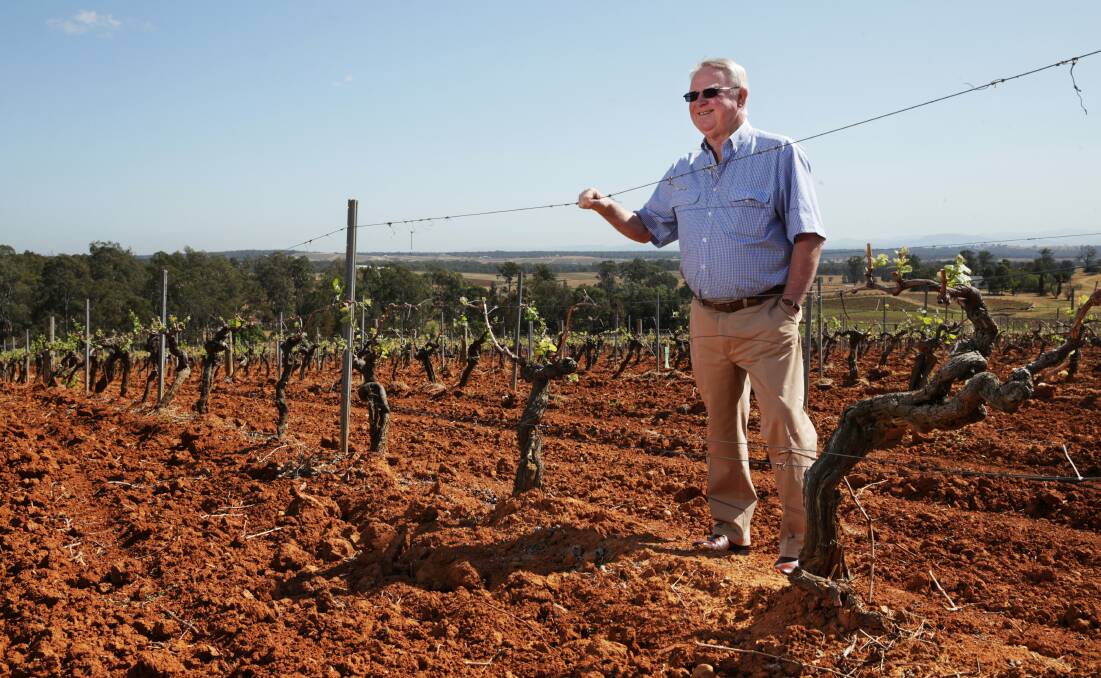 UNIQUE VINTAGE: Wine company boss Bruce Tyrrell has noticed increased cellar door sales at his renowned Pokolbin vineyard. Picture: Simone De Peak