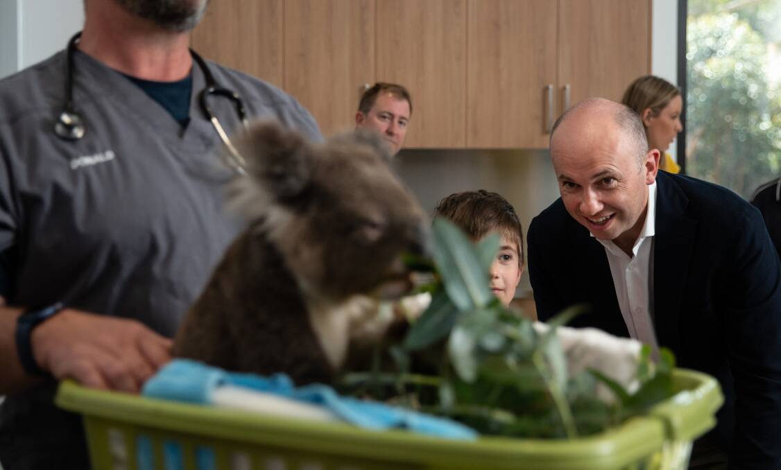 FOCUS: Jax, the koala, has a feed while Environment Minister Matt Kean watches on in the new hospital. Picture: Marina Neil 