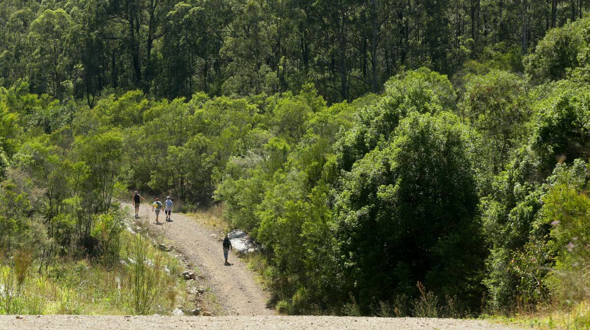 The proposed Richmond Vale Rail Trail. Picture: Jonathan Carroll