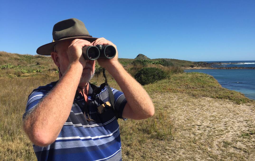 Team leader Alan Stuart looks for bird movements near Coal Shaft Bay, on the island's western side. Picture: Scott Bevan