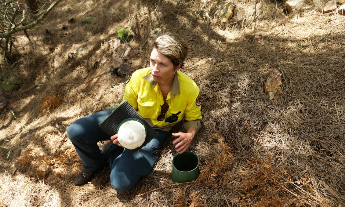 NPWS ranger Susanne Callaghan, with one of the nesting boxes. Picture: Jonathan Carroll