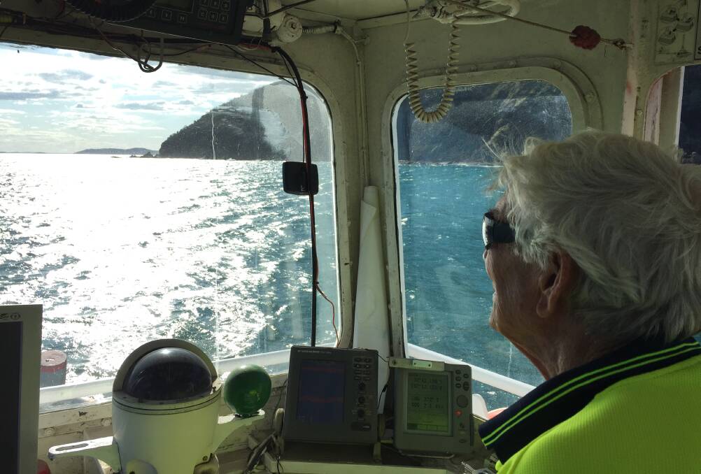 Bill Johnson in the wheelhouse, as the 'Betts Bay' passes Yacaaba Head. Picture: Scott Bevan