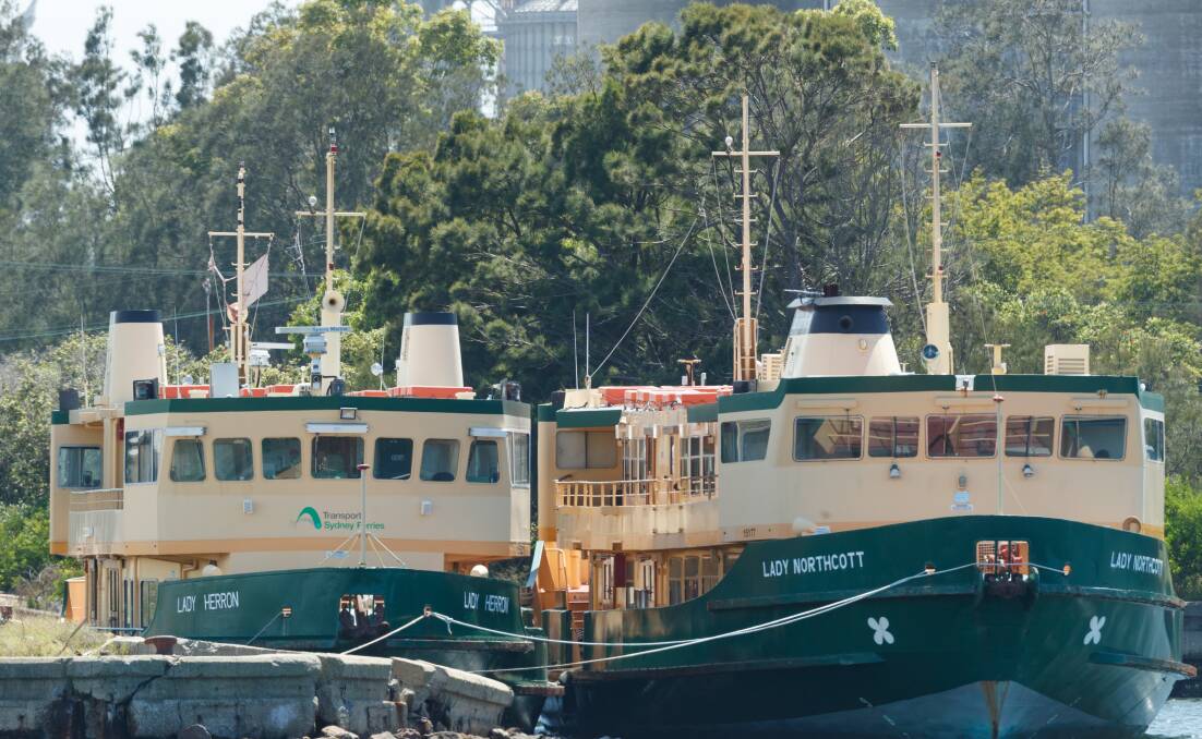 LONG STAY: Retired Sydney harbour ferries "Lady Herron" and "Lady Northcott" berthed at Carrington, where they have been since April. Picture: Max Mason-Hubers 