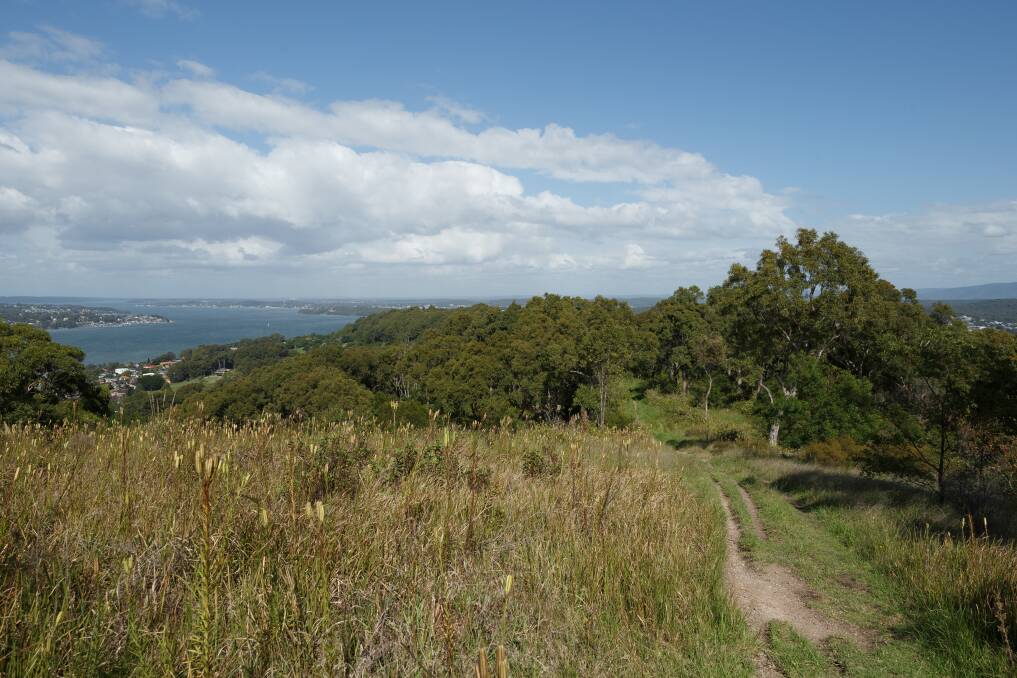 VIEWS: Near the top of Munibung Hill, looking towards the south, with the 80 hectares of land for sale down the slope to the right. Picture: Max Mason-Hubers